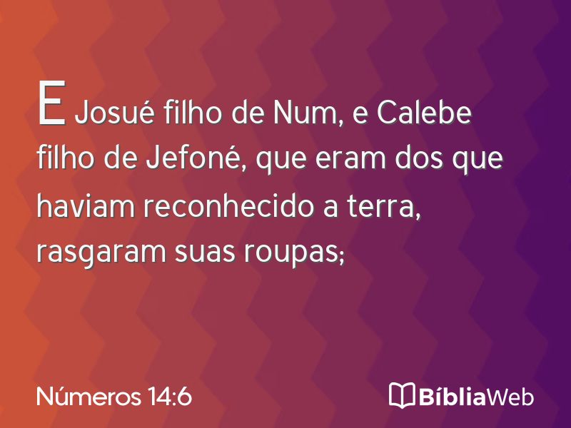 Números 14:6 em imagem para compartilhar