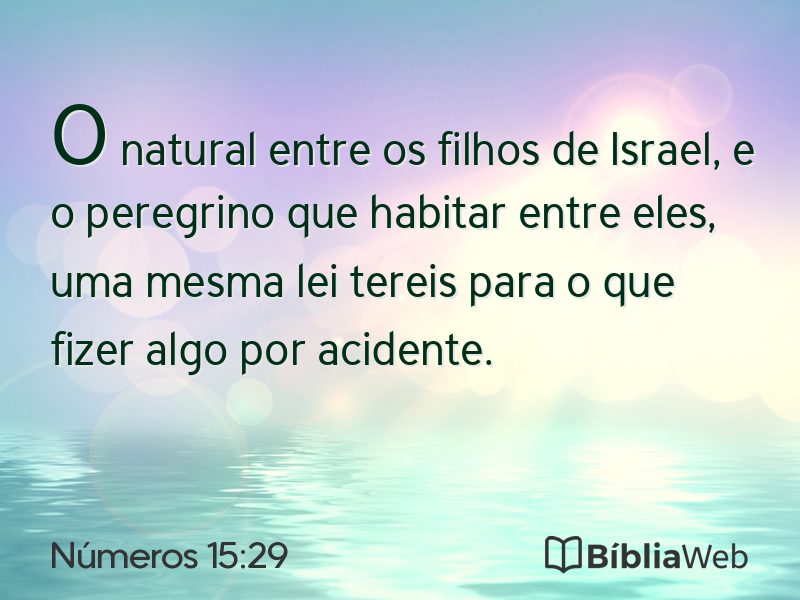Números 15:29 em imagem para compartilhar