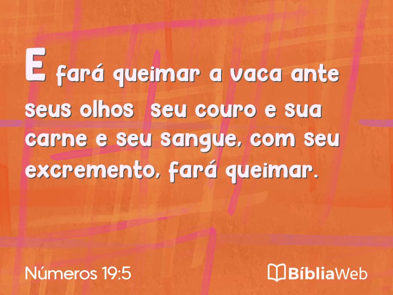 Números 19:5 em imagem para compartilhar