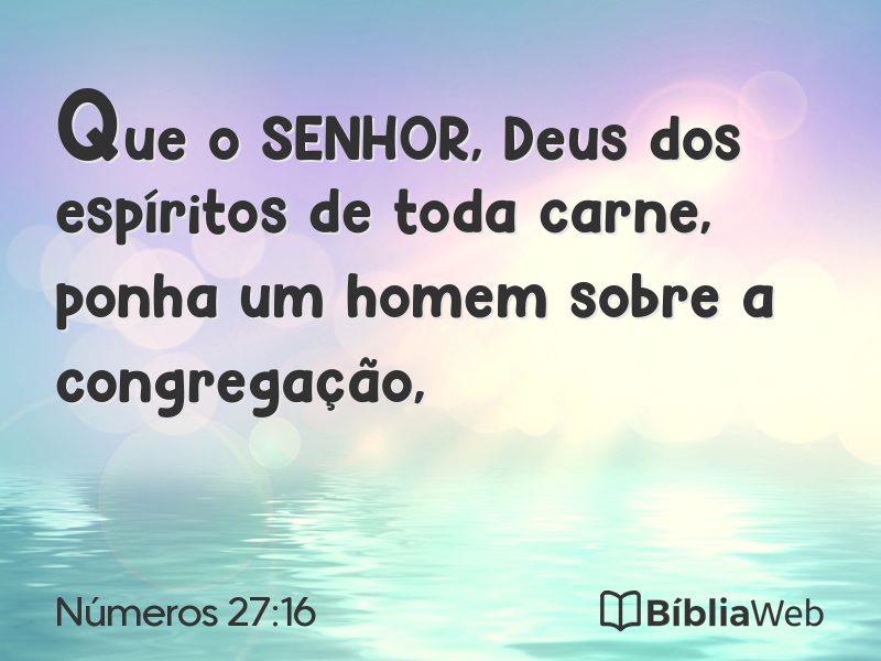 Números 27:16 em imagem para compartilhar