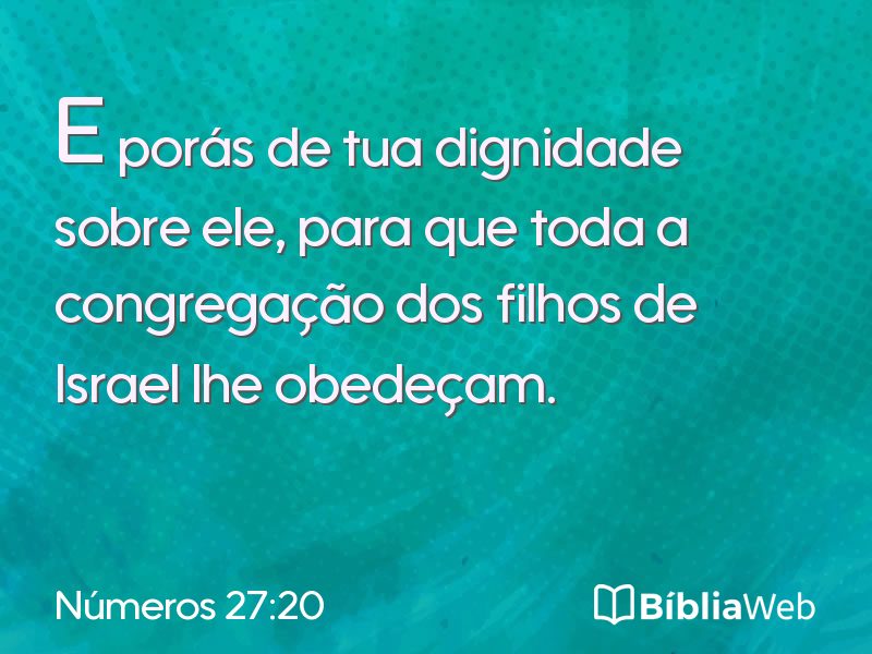 Números 27:20 em imagem para compartilhar