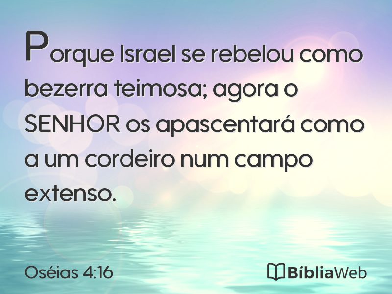 Oséias 4:16 em imagem para compartilhar