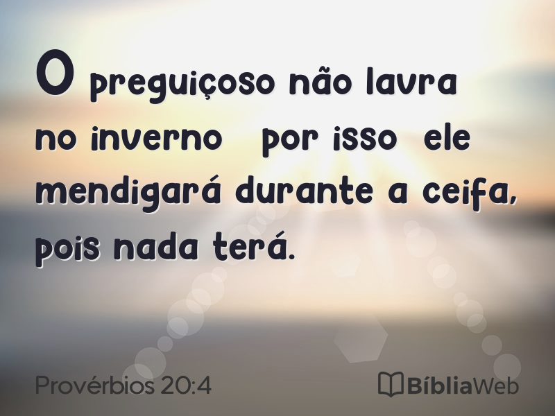 Provérbios 20:4 em imagem para compartilhar
