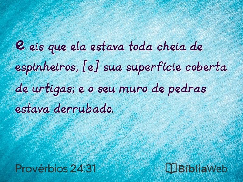 Provérbios 24:31 em imagem para compartilhar
