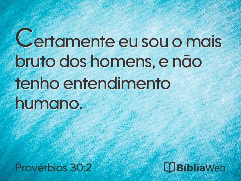 Provérbios 30:2 em imagem para compartilhar
