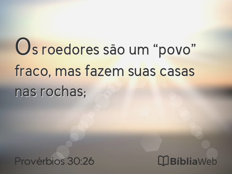 Provérbios 30:26 em imagem para compartilhar