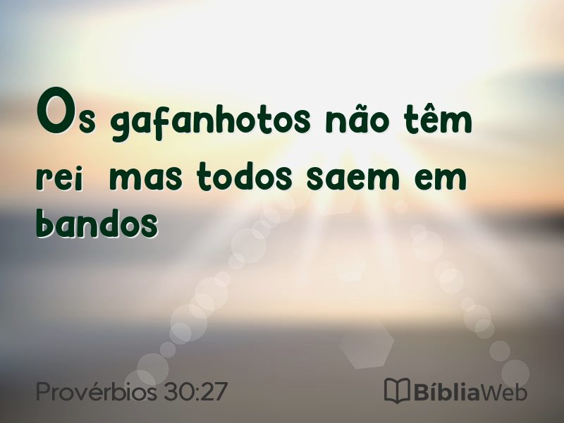 Provérbios 30:27 em imagem para compartilhar