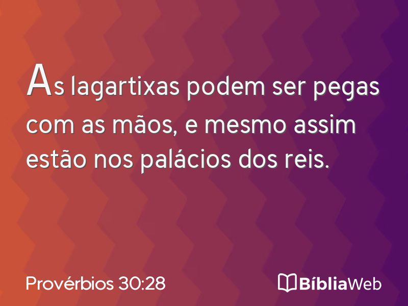 Provérbios 30:28 em imagem para compartilhar
