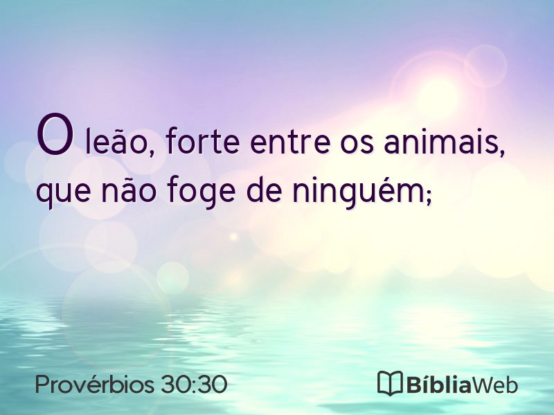 Provérbios 30:30 em imagem para compartilhar