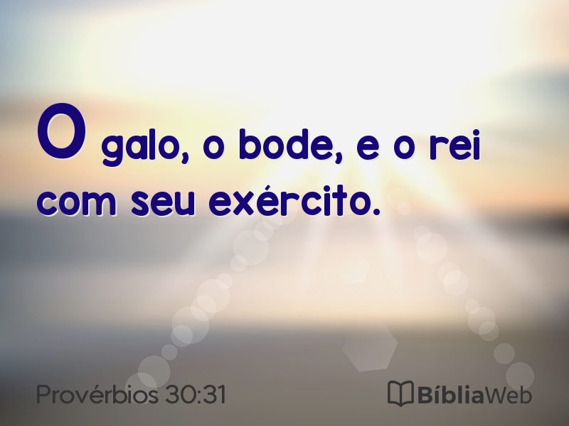 Provérbios 30:31 em imagem para compartilhar