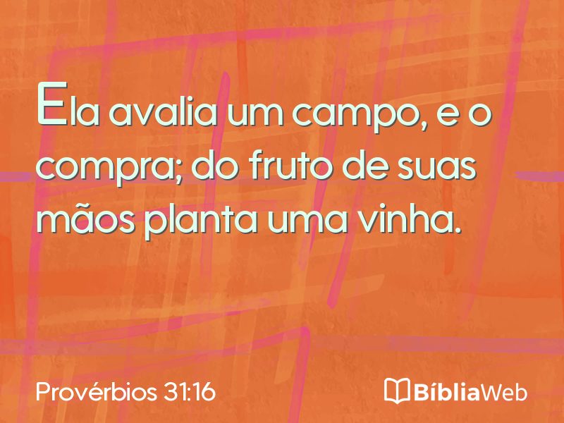 Provérbios 31:16 em imagem para compartilhar