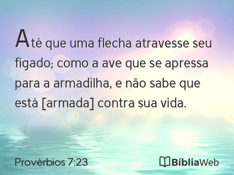 Provérbios 7:23 em imagem para compartilhar