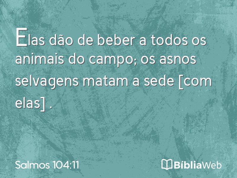 Salmos 104:11 em imagem para compartilhar