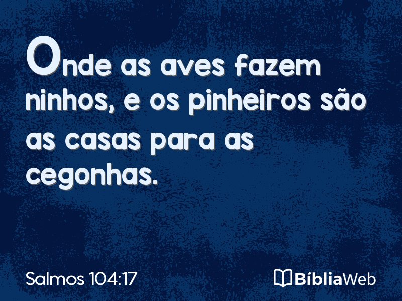 Salmos 104:17 em imagem para compartilhar