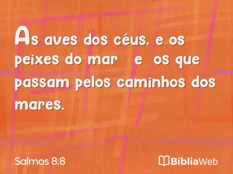 Salmos 8:8 em imagem para compartilhar