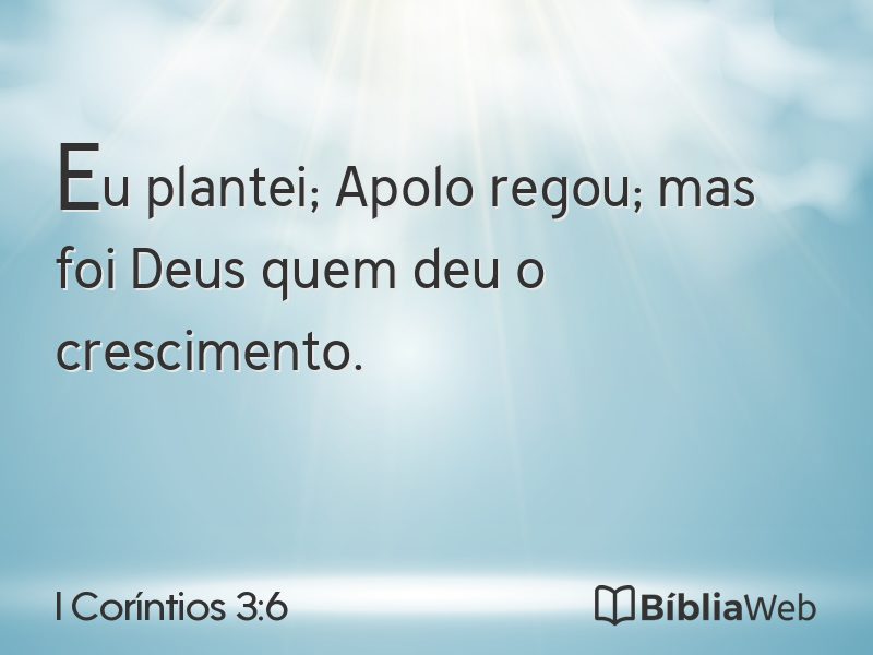 I Coríntios 3:6 em imagem para compartilhar
