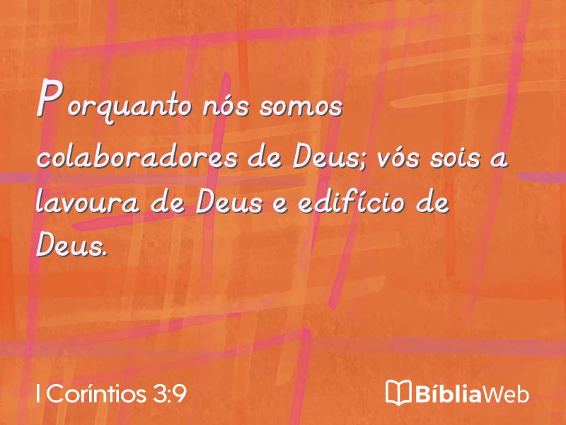 I Coríntios 3:9 em imagem para compartilhar