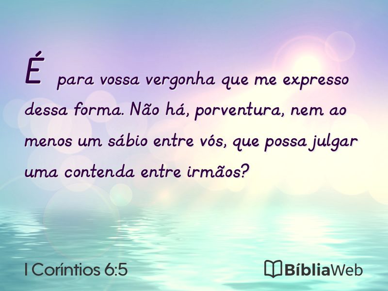 I Coríntios 6:5 em imagem para compartilhar
