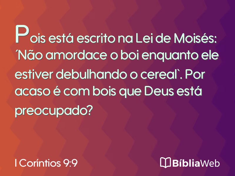 I Coríntios 9:9 em imagem para compartilhar