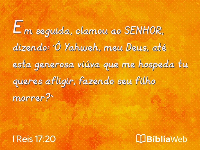 I Reis 17:20 em imagem para compartilhar