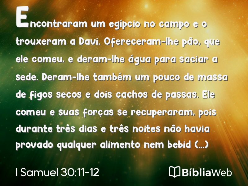 I Samuel 30:11-12 em imagem para compartilhar