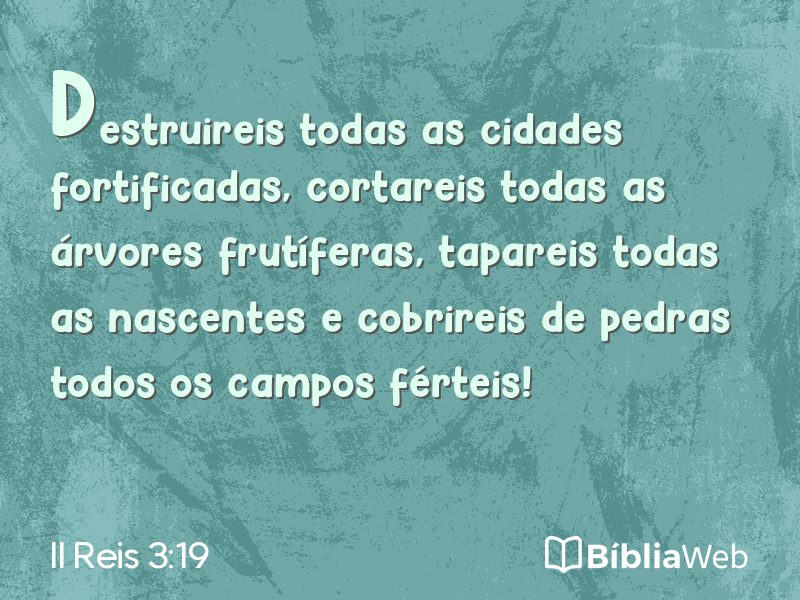 II Reis 3:19 em imagem para compartilhar
