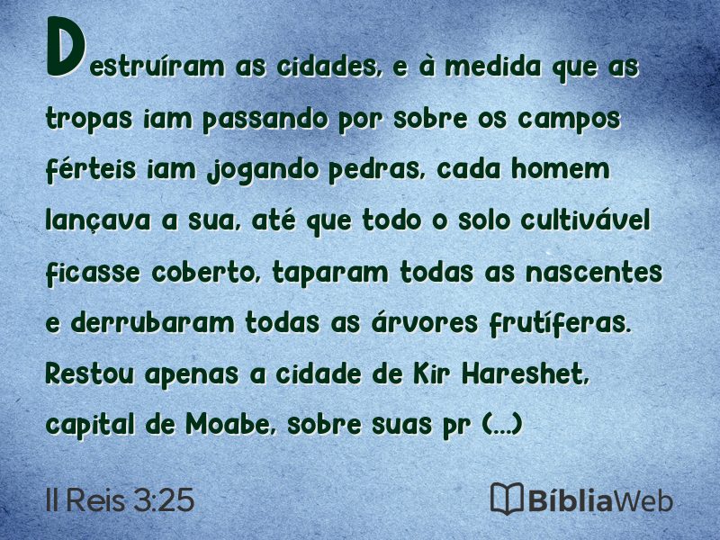 II Reis 3:25 em imagem para compartilhar