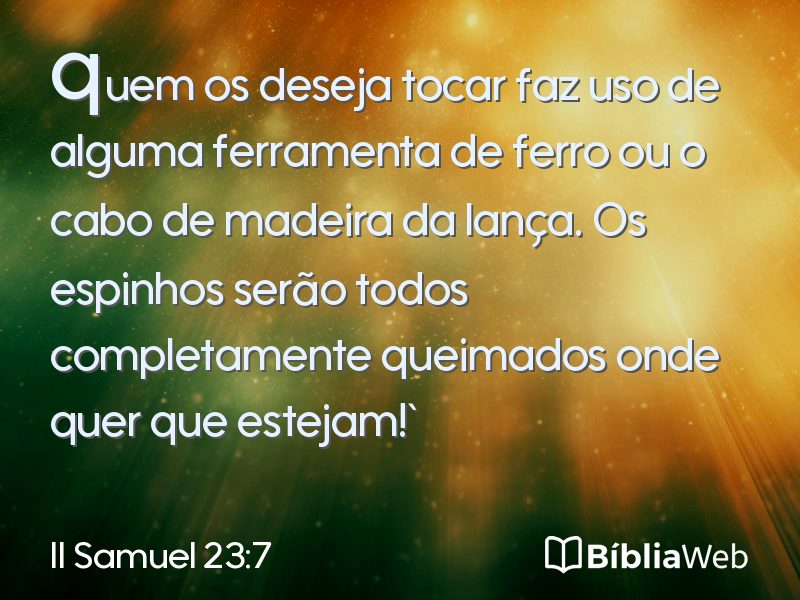 II Samuel 23:7 em imagem para compartilhar