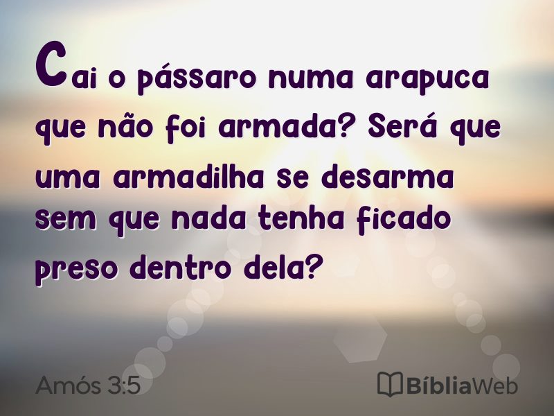 Amós 3:5 em imagem para compartilhar