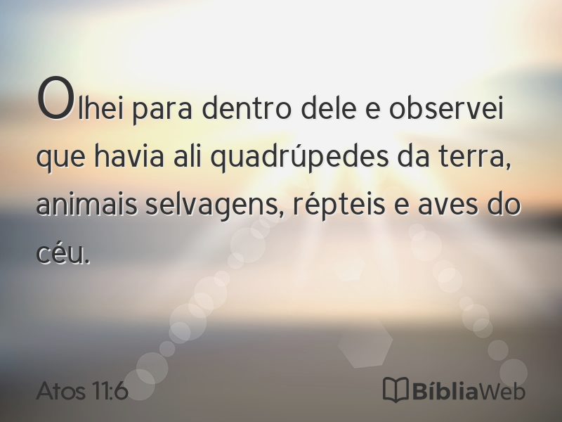 Atos 11:6 em imagem para compartilhar