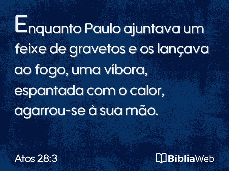 Atos 28:3 em imagem para compartilhar