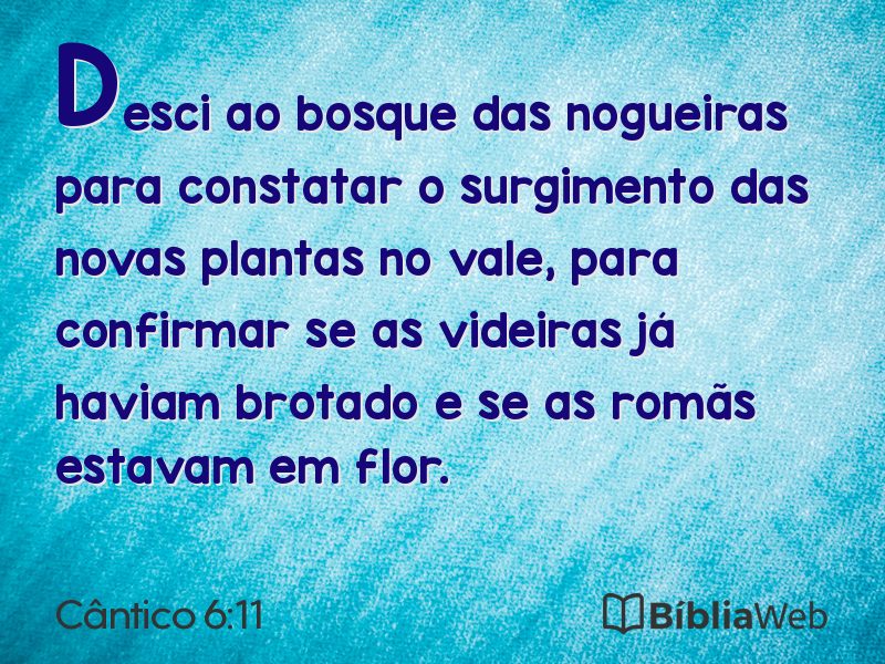 Cântico 6:11 em imagem para compartilhar