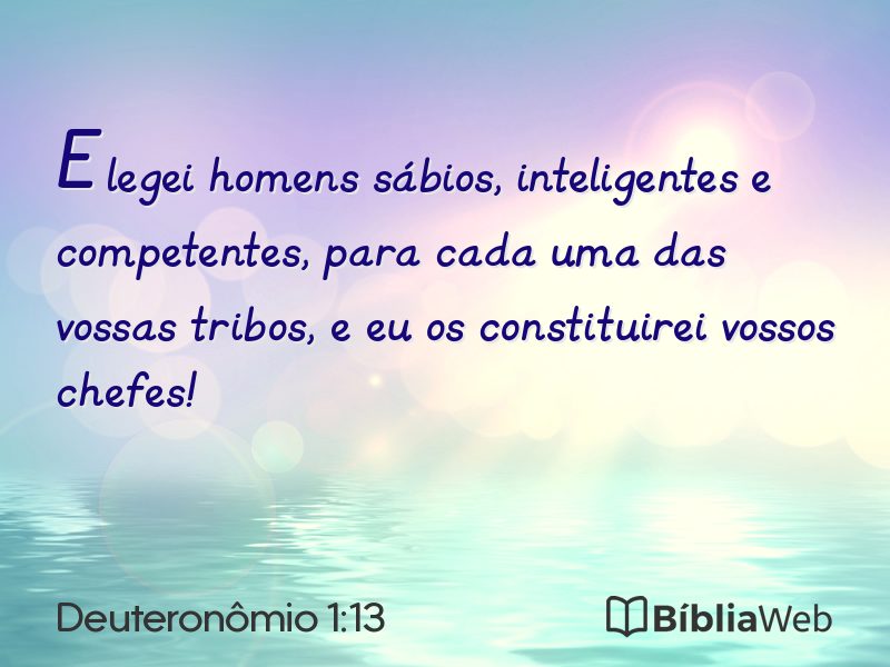 Deuteronômio 1:13 em imagem para compartilhar