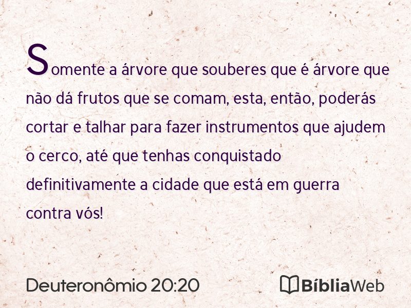 Deuteronômio 20:20 em imagem para compartilhar