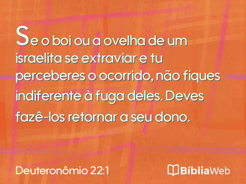 Deuteronômio 22:1 em imagem para compartilhar