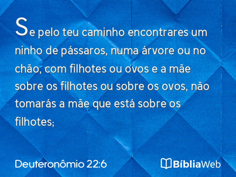 Deuteronômio 22:6 em imagem para compartilhar