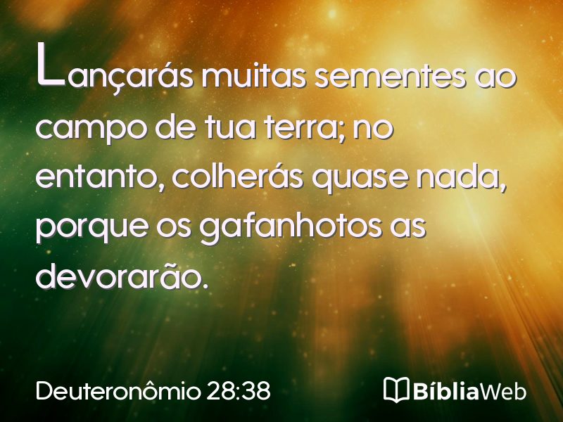 Deuteronômio 28:38 em imagem para compartilhar