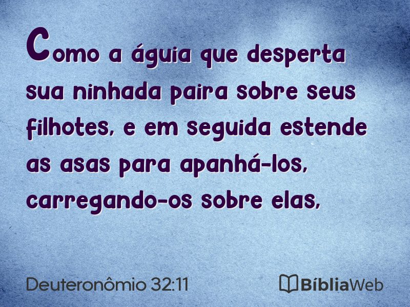 Deuteronômio 32:11 em imagem para compartilhar