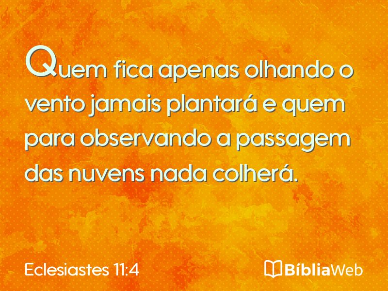 Eclesiastes 11:4 em imagem para compartilhar