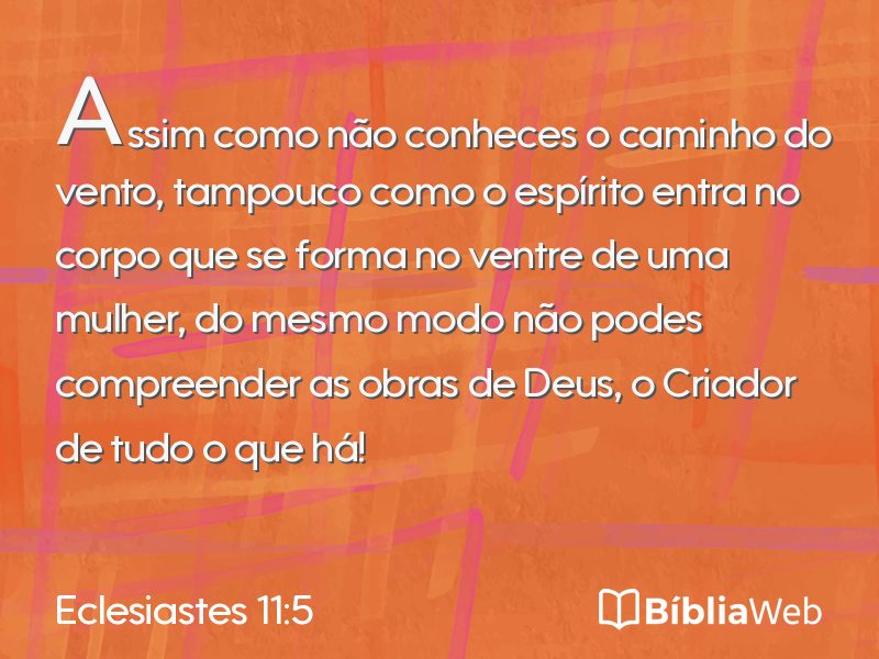 Eclesiastes 11:5 em imagem para compartilhar