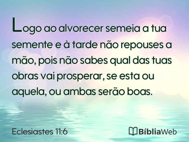 Eclesiastes 11:6 em imagem para compartilhar