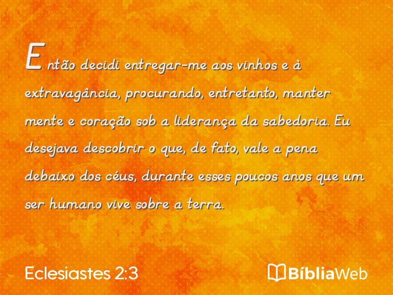 Eclesiastes 2:3 em imagem para compartilhar