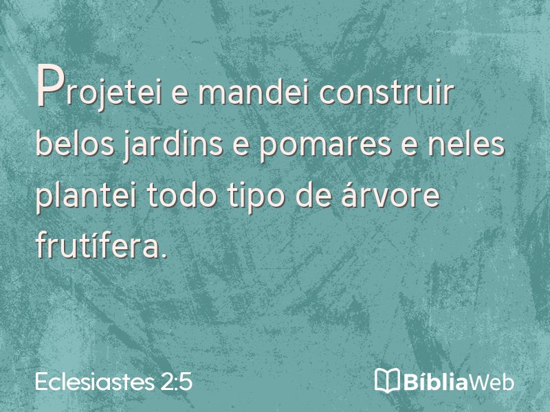 Eclesiastes 2:5 em imagem para compartilhar