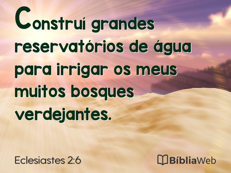 Eclesiastes 2:6 em imagem para compartilhar