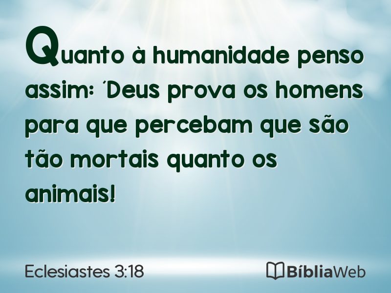 Eclesiastes 3:18 em imagem para compartilhar