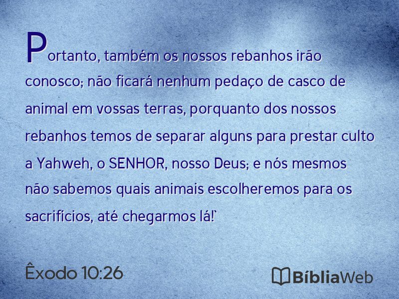 Êxodo 10:26 em imagem para compartilhar