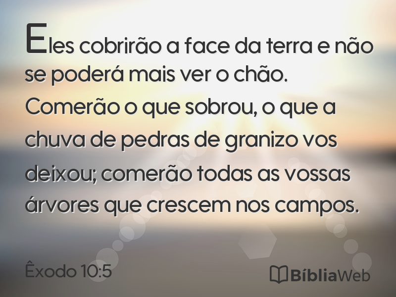 Êxodo 10:5 em imagem para compartilhar