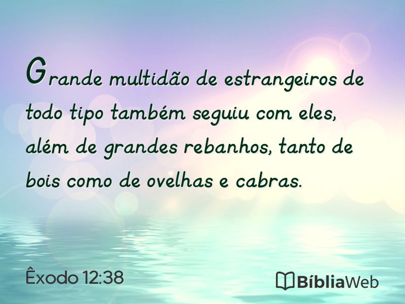 Êxodo 12:38 em imagem para compartilhar