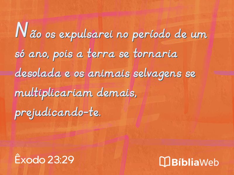 Êxodo 23:29 em imagem para compartilhar