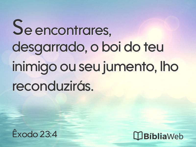Êxodo 23:4 em imagem para compartilhar
